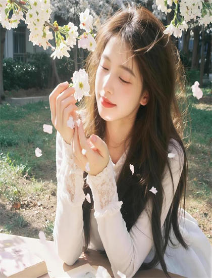 2013电影网-flv视频